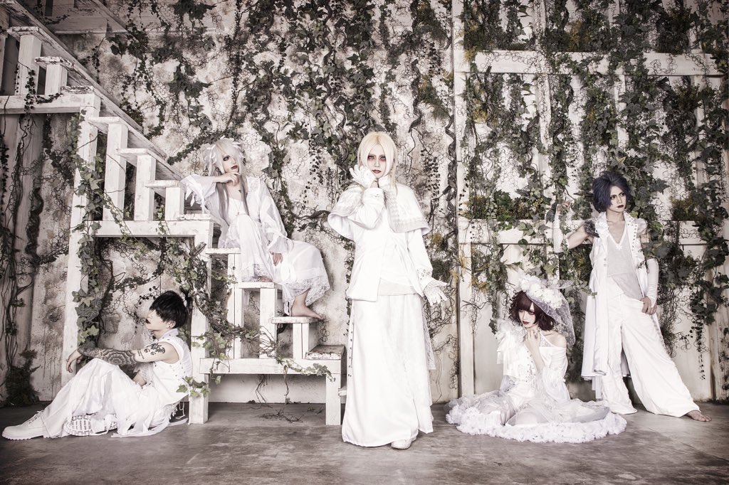 ALCYON – New look