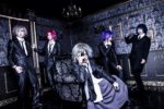 Avilis - New look