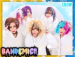 BANDEMIC!! - New look