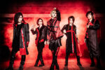 THE MICRO HEAD 4N'S - New look