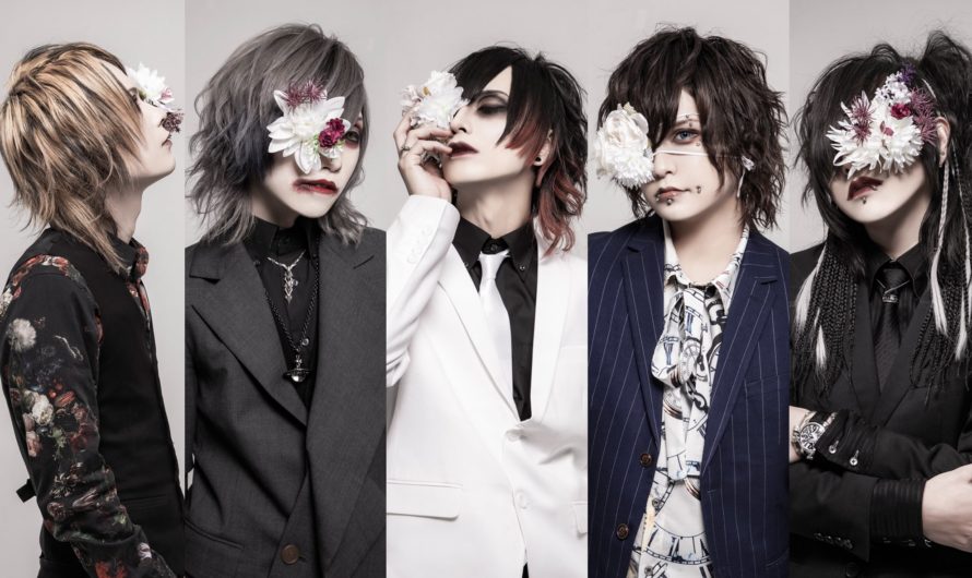 Houts – New look