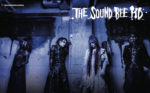 THE SOUND BEE HD - New DVD Registry of darkness