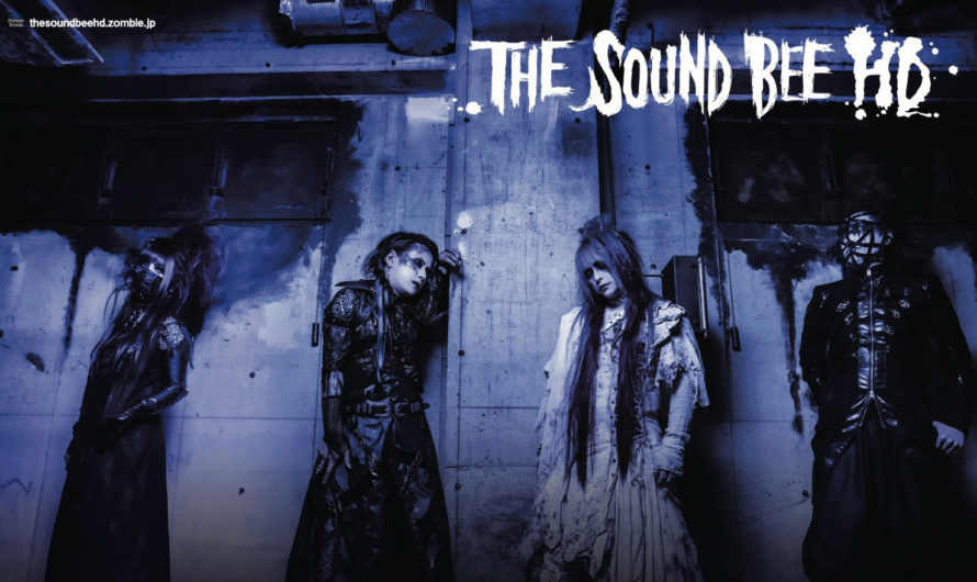 THE SOUND BEE HD : Registry of darkness (DVD)