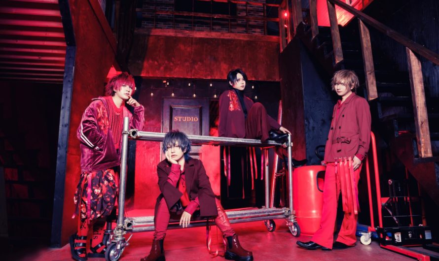 Anfiel – New look