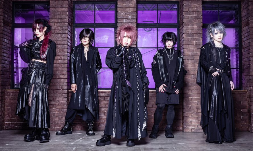 Misui – New look for their 5th anniversary