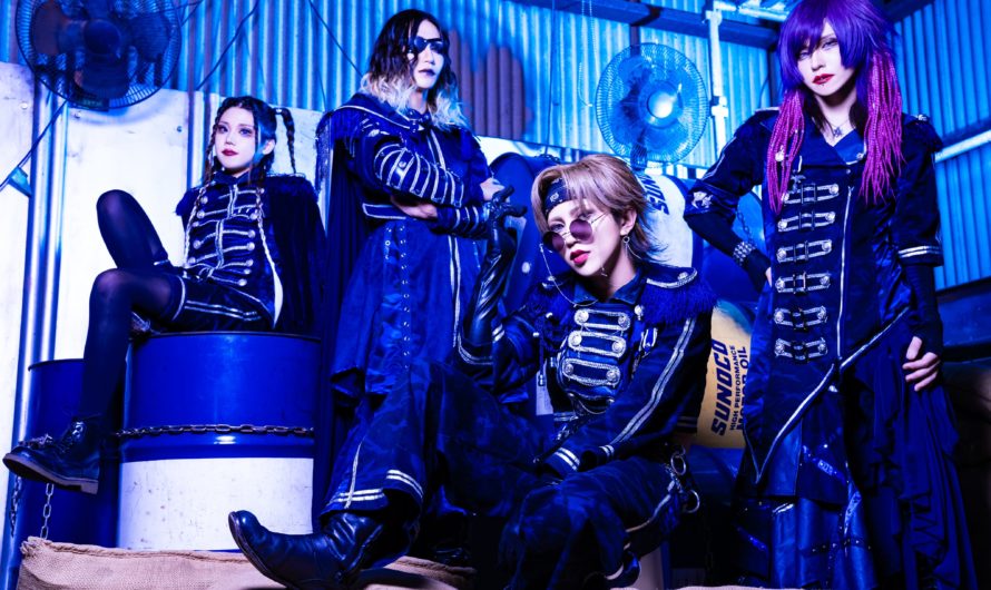 Z CLEAR – New look