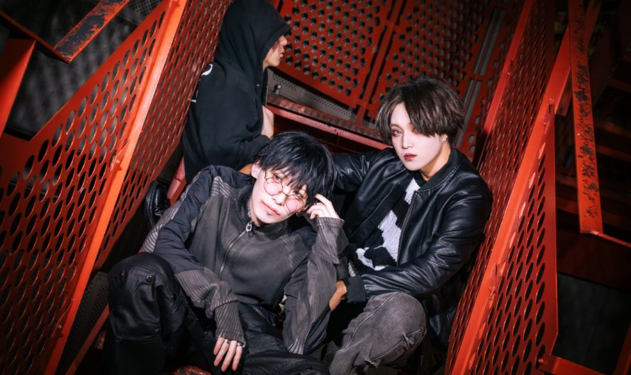 ANSEEK – New look