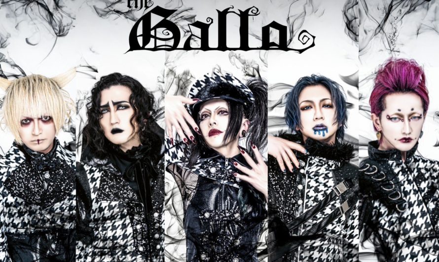 THE GALLO (ギャロ)