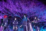 Tenebrae - New bassist and MV Kyoumei