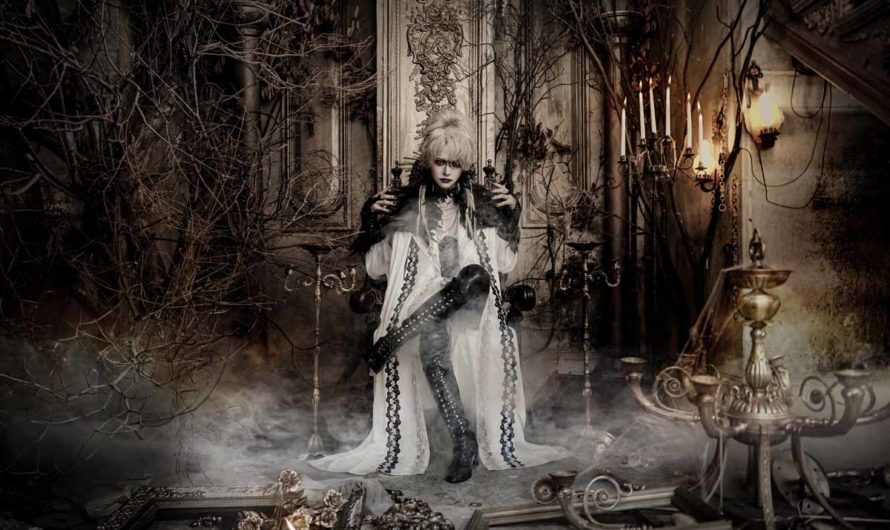 David – Project to go on hiatus